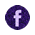 fb25 p